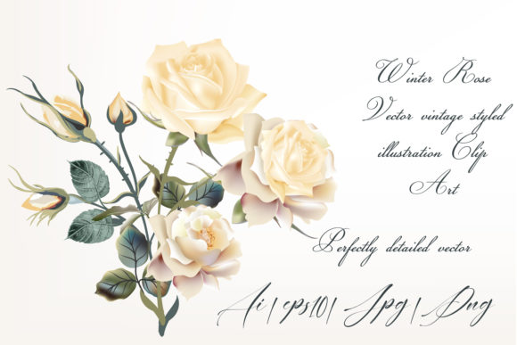 A Detailed Look at Beige Rose Vector Clip Art for Creators