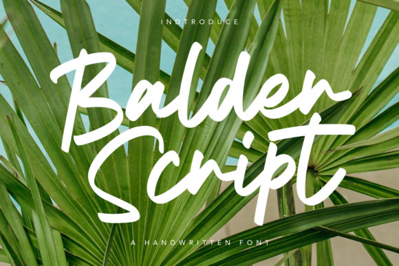 Balder Script: The Handwritten Font That Elevates Everyday Design