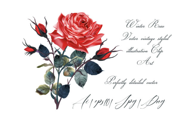 Beautiful High Detailed Vector Rose Illustration