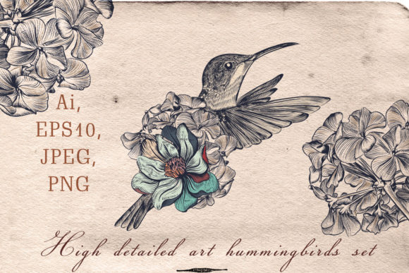 Collection of Vector Hummingbirds: The Ultimate Design Asset for Creative Projects
