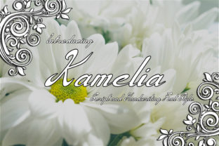 Kamelia: The Artisan’s Secret to Making Every Word Feel Handcrafted