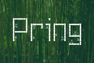 Pring: The Bamboo-Inspired Script for Modern Design