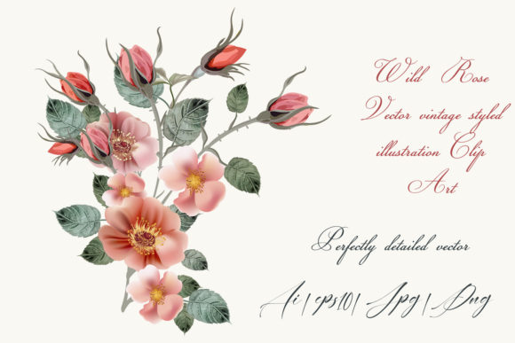 Rose Hip Vector High Detailed Clip Art: The Ultimate Design Solution
