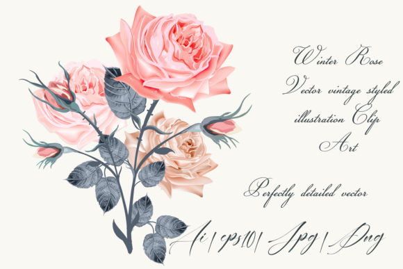 The Strategic Art of the Vintage Vector Rose Illustration