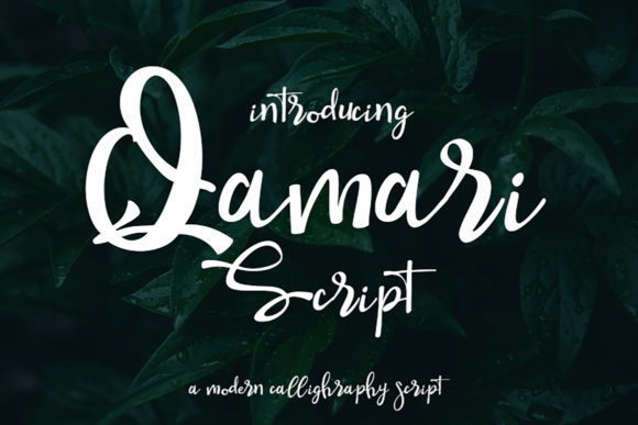 Understanding Qamari Script: The Art of Elegant Handwritten Typography