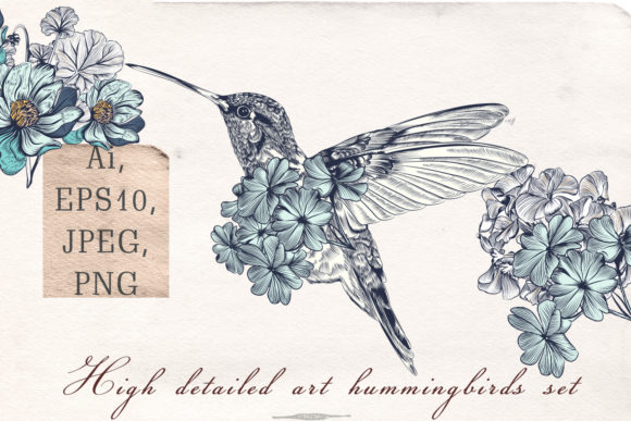 Unlocking Creative Possibilities with Collection of Vector Hummingbirds Vol.2